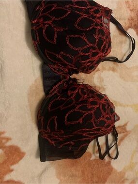 Black Push-Up Bra with Red Floral Embroidery - Women Intimates